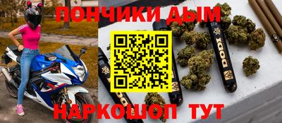 крисы Можга