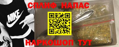 крисы Можга