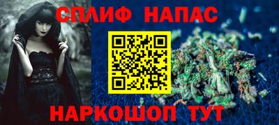 крисы Можга