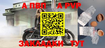 крисы Можга