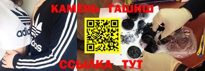 крисы Можга