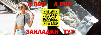 крисы Можга