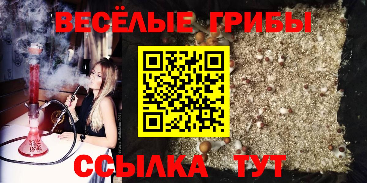 Псилоцибиновые грибы Psilocybine cubensis Фурманов