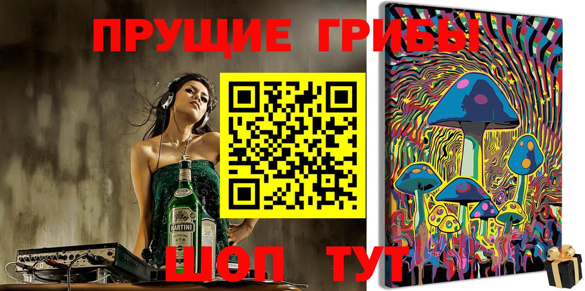 Фурманов  Галлюциногенные грибы прущие грибы  Вход с VPN 